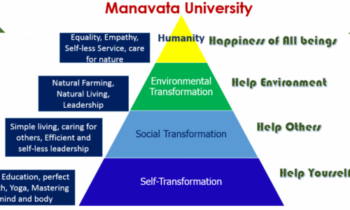 manavata university